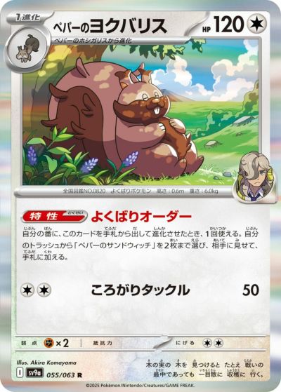 ヒビキのピチュー（036/063）［C］｜ポケモンカード｜PRICE BASE通販