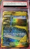 ポケモンカード せせらぎの丘 UR PSA10 PSA10】せせらぎの丘［UR］（118-095）｜ポケモンカード｜PRICE